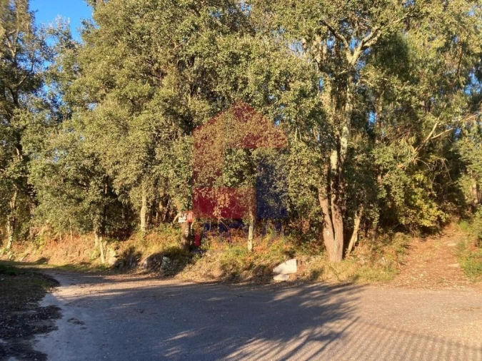 Terreno para Venda em Cervães Foto 3