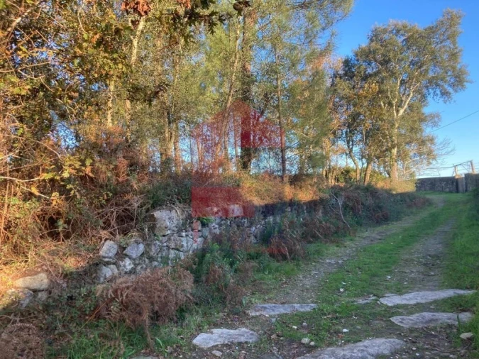 Terreno para Venda em Cervães Foto 20