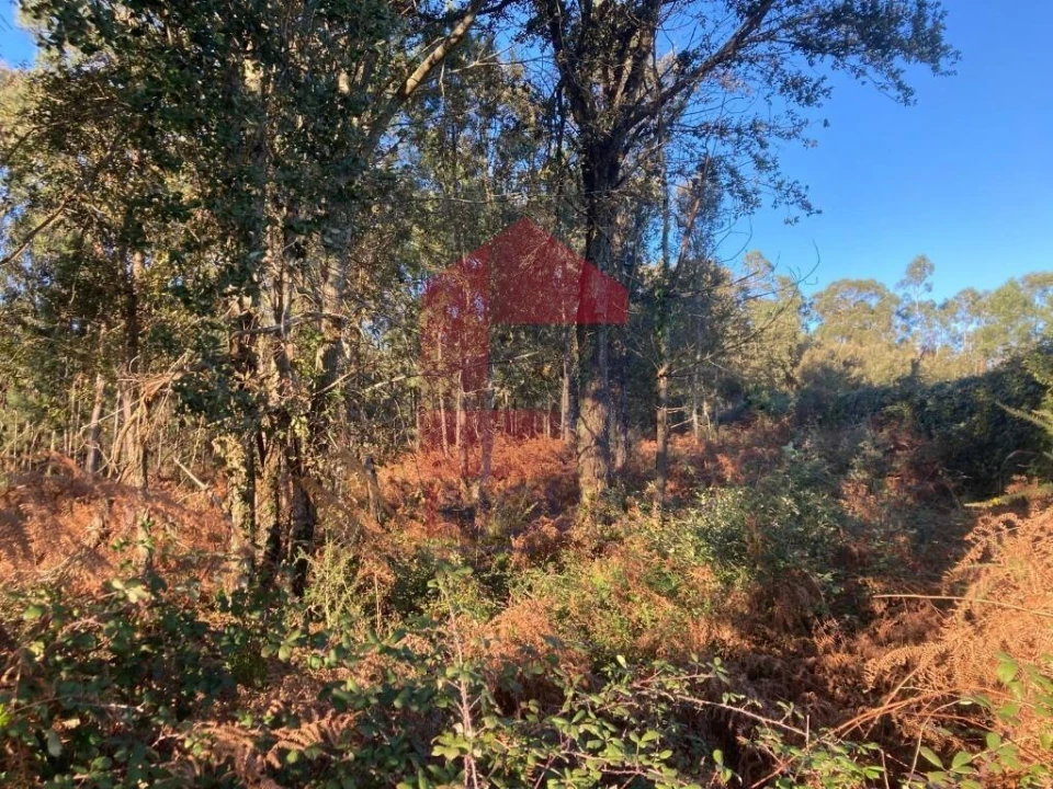 Terreno para Venda em Cervães Foto 18