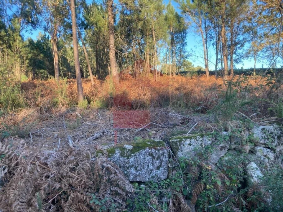 Terreno para Venda em Cervães Foto 12