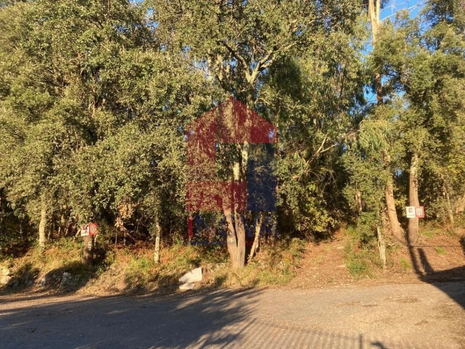 Terreno para Venda em Cervães Foto 4