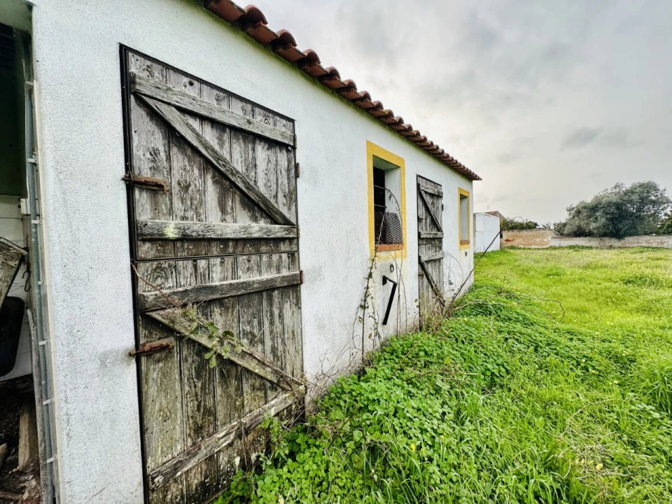 Terreno para Venda em São Miguel do Rio Torto e Rossio Ao Sul do Tejo Foto 3