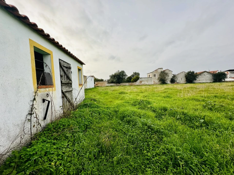 Terreno para Venda em São Miguel do Rio Torto e Rossio Ao Sul do Tejo Foto 4