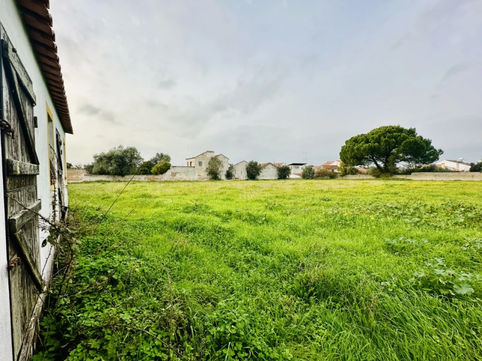Terreno para Venda em São Miguel do Rio Torto e Rossio Ao Sul do Tejo Foto 6