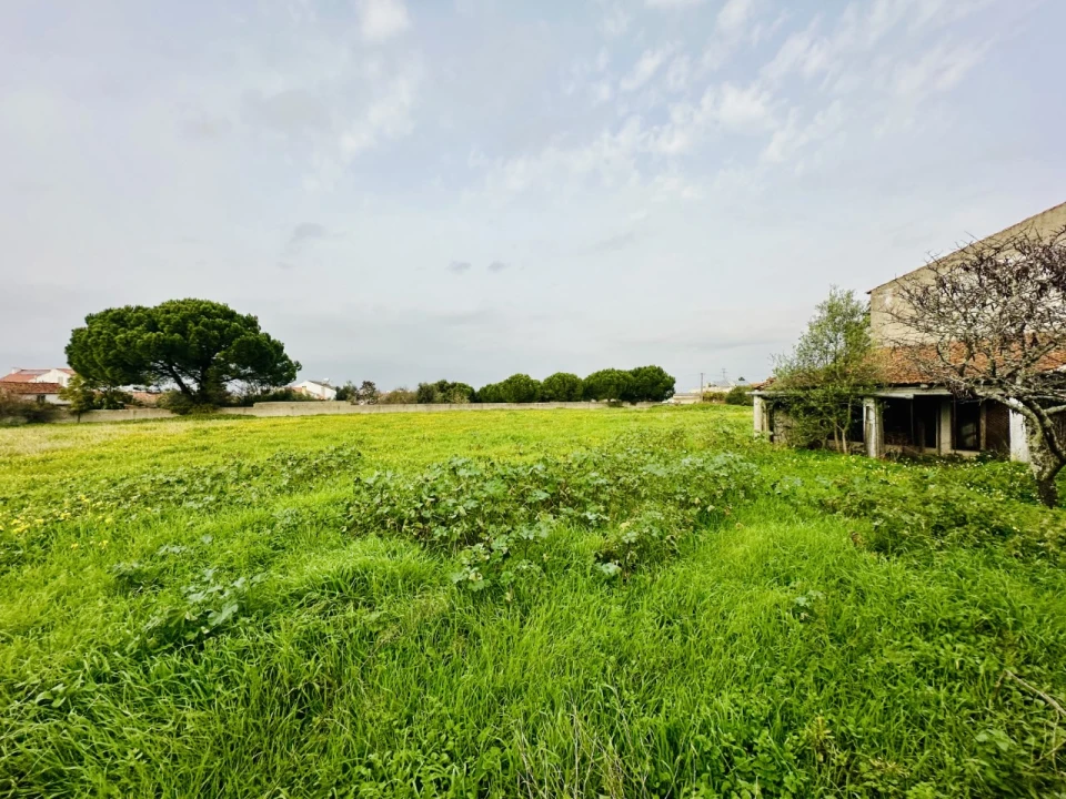 Terreno para Venda em São Miguel do Rio Torto e Rossio Ao Sul do Tejo Foto 8