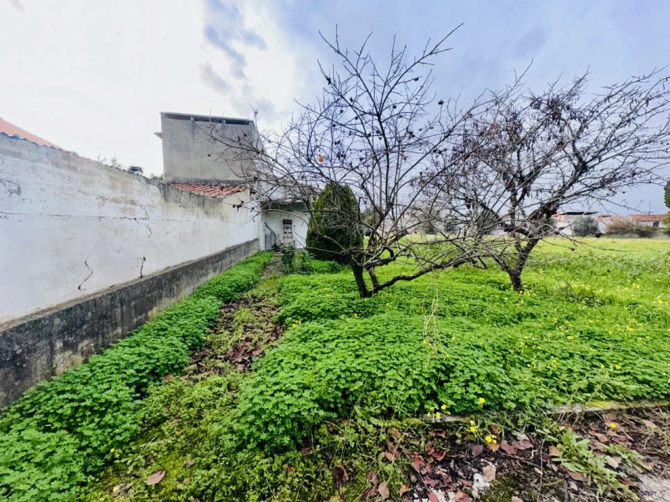 Terreno para Venda em São Miguel do Rio Torto e Rossio Ao Sul do Tejo Foto 16