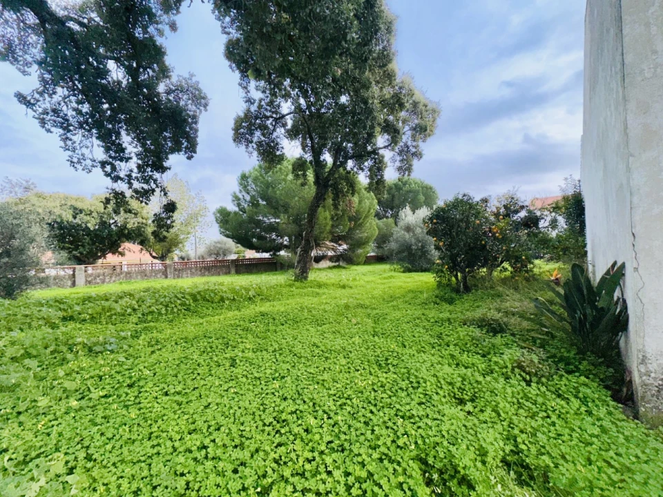 Terreno para Venda em São Miguel do Rio Torto e Rossio Ao Sul do Tejo Foto 30