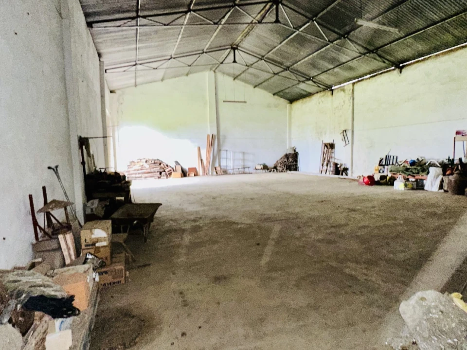 Terreno para Venda em São Miguel do Rio Torto e Rossio Ao Sul do Tejo Foto 34