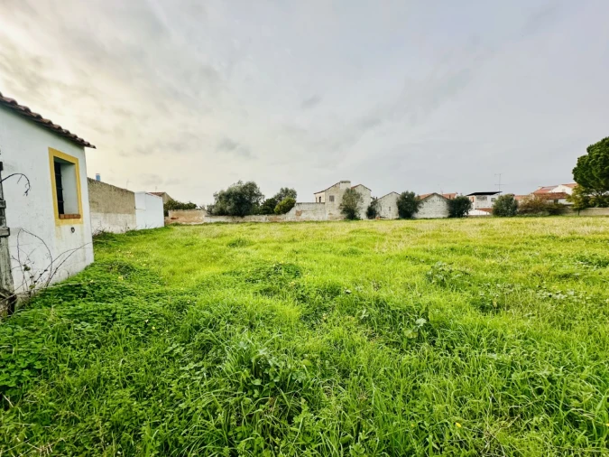 Terreno para Venda em São Miguel do Rio Torto e Rossio Ao Sul do Tejo Foto 5