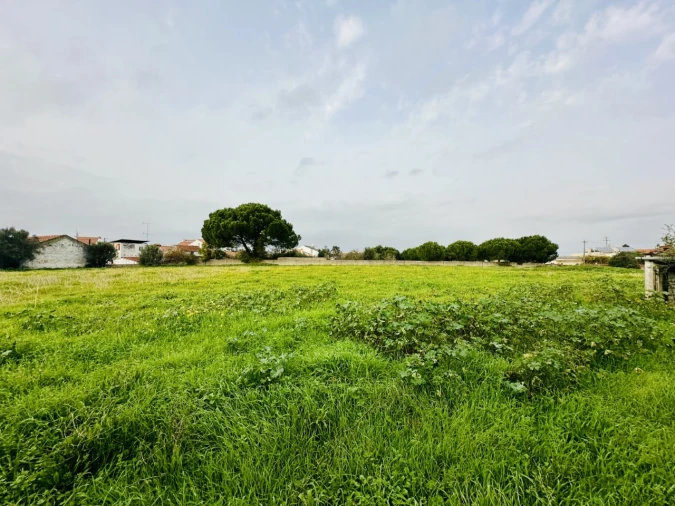 Terreno para Venda em São Miguel do Rio Torto e Rossio Ao Sul do Tejo Foto 9