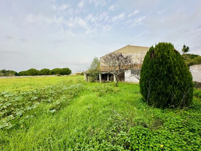 Terreno para Venda em São Miguel do Rio Torto e Rossio Ao Sul do Tejo Foto 12
