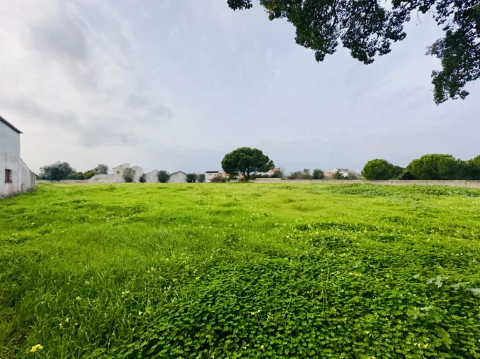 Terreno para Venda em São Miguel do Rio Torto e Rossio Ao Sul do Tejo Foto 25