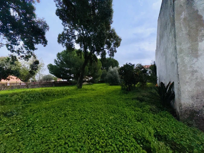 Terreno para Venda em São Miguel do Rio Torto e Rossio Ao Sul do Tejo Foto 29