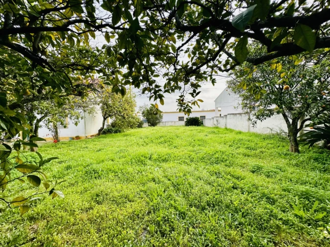 Terreno para Venda em São Miguel do Rio Torto e Rossio Ao Sul do Tejo Foto 35