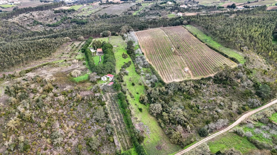 Terreno para Venda em Ribafria e Pereiro de Palhacana Foto 7