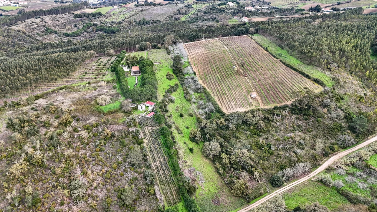 Terreno para Venda em Ribafria e Pereiro de Palhacana Foto 7