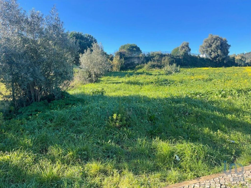 Terreno para Venda em Arruda dos Vinhos Foto 10