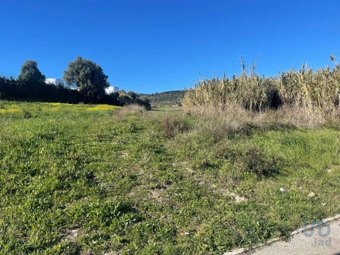 Terreno para Venda em Arruda dos Vinhos Foto 13