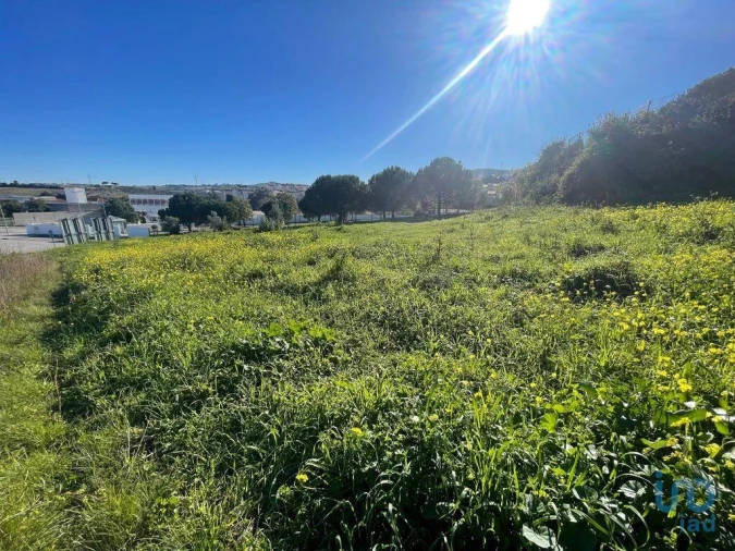 Terreno para Venda em Arruda dos Vinhos Foto 15