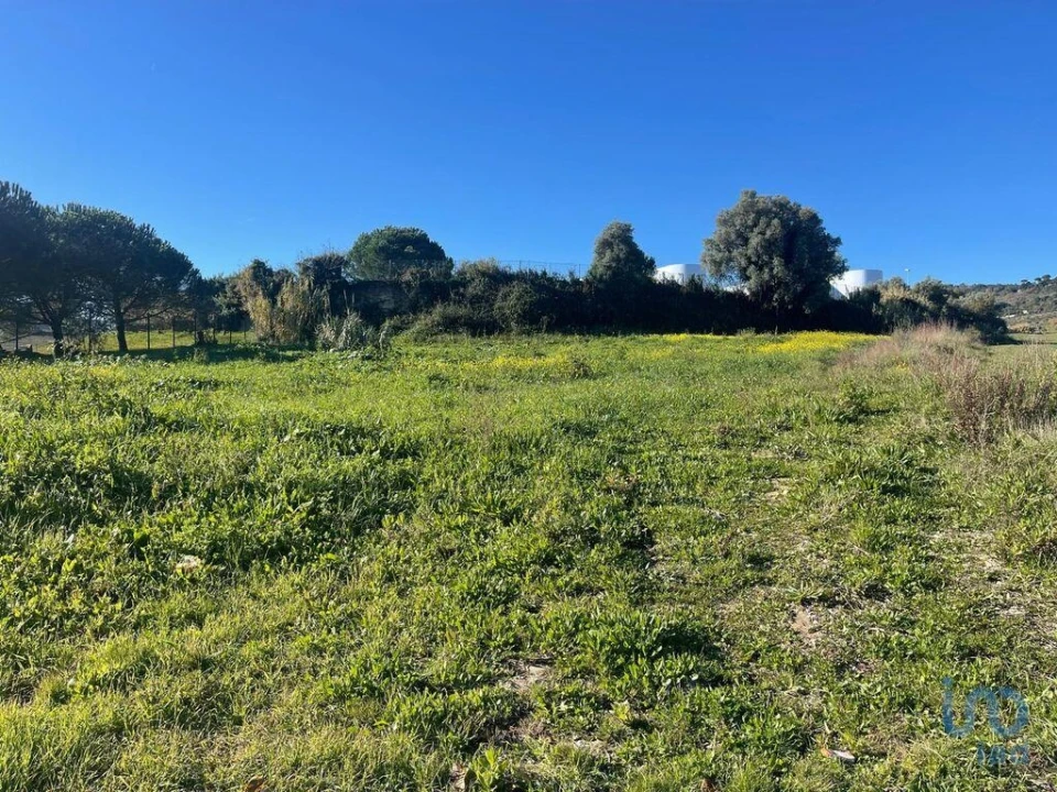 Terreno para Venda em Arruda dos Vinhos Foto 9