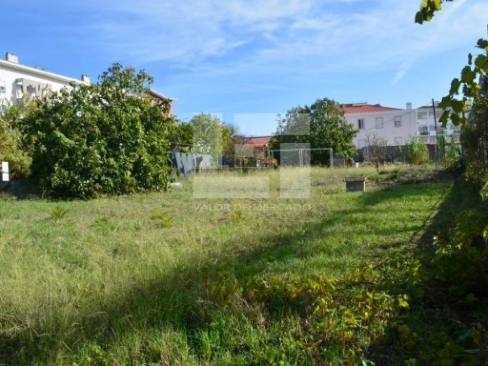 Terreno para Venda em Ajuda Foto 11