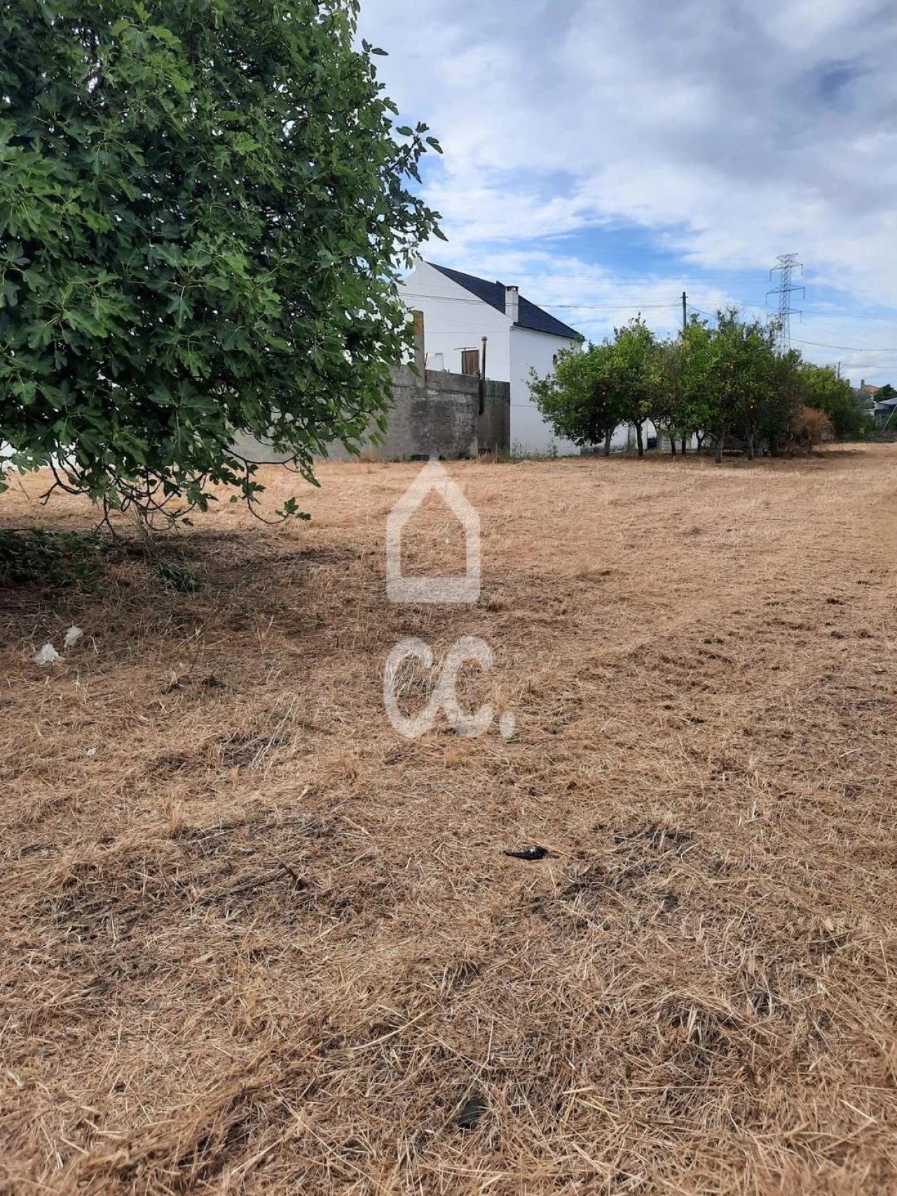 Armazém para Venda em Alcanhões Foto 5