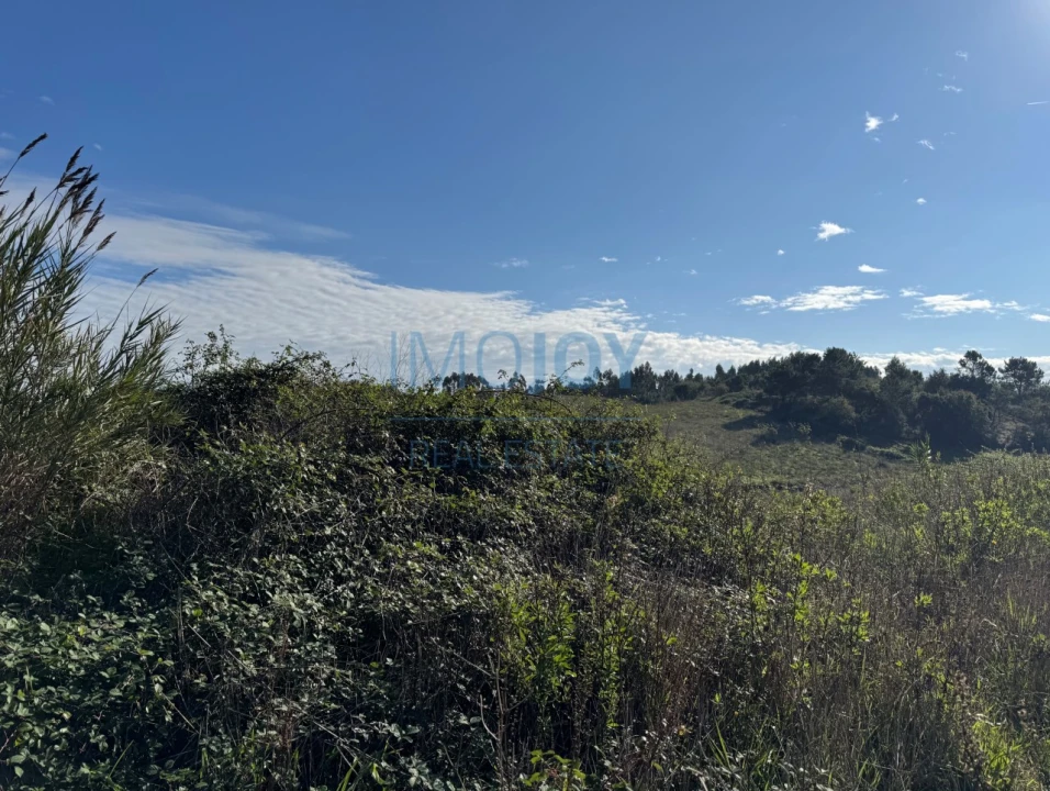 Terreno Agricola ou Rústico para Venda em Abrigada e Cabanas de Torres Foto 3