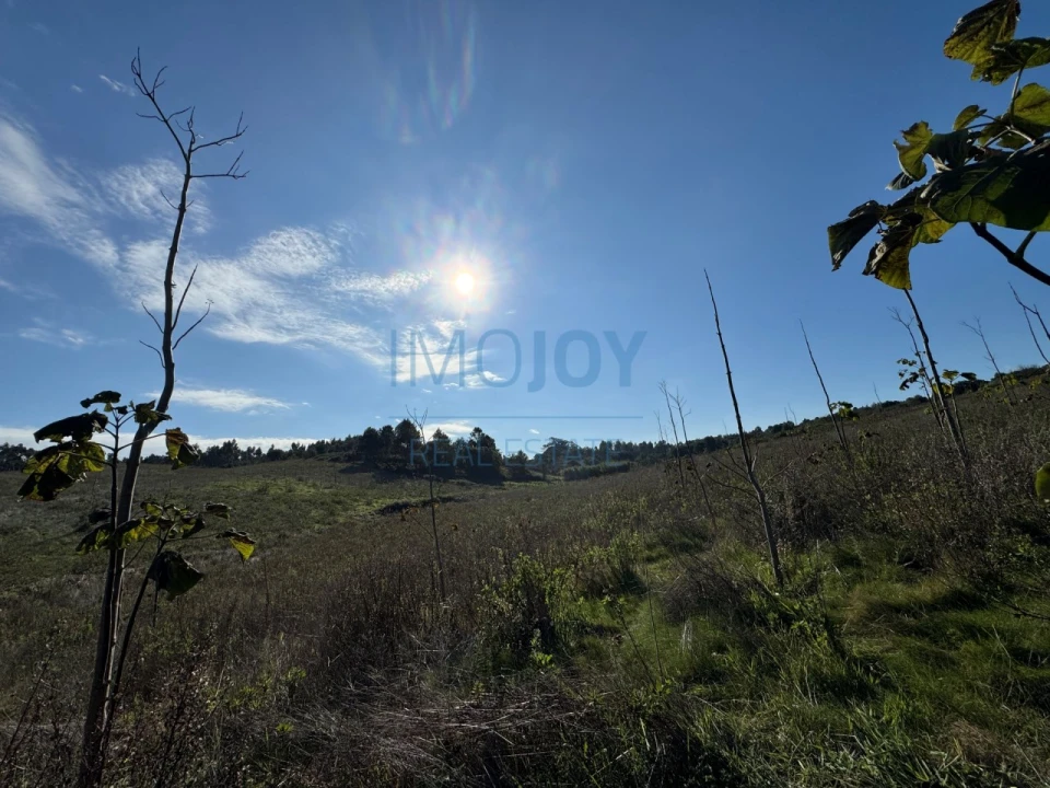 Terreno Agricola ou Rústico para Venda em Abrigada e Cabanas de Torres Foto 4