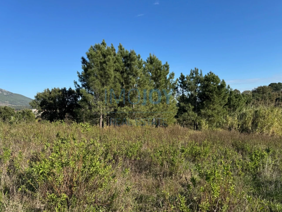 Terreno Agricola ou Rústico para Venda em Abrigada e Cabanas de Torres Foto 6