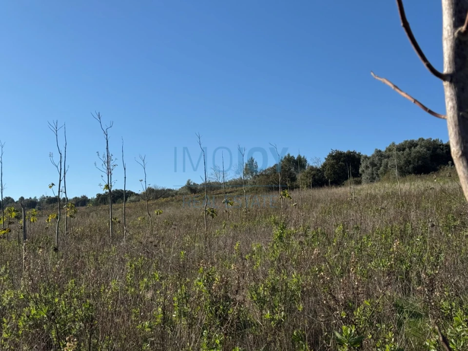 Terreno Agricola ou Rústico para Venda em Abrigada e Cabanas de Torres Foto 8