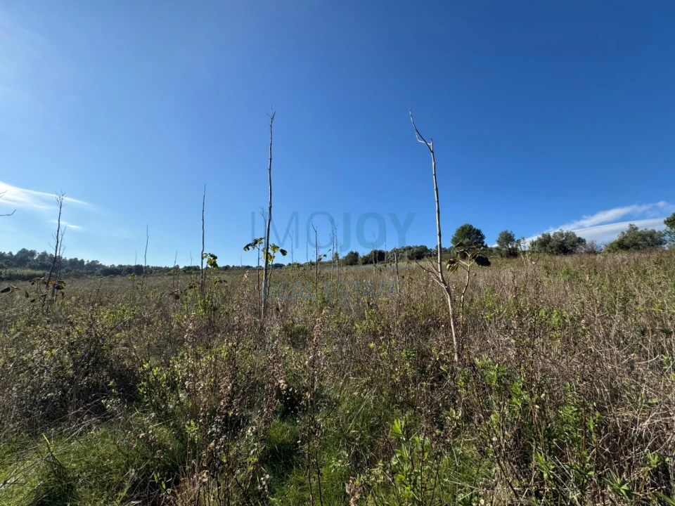 Terreno Agricola ou Rústico para Venda em Abrigada e Cabanas de Torres Foto 9