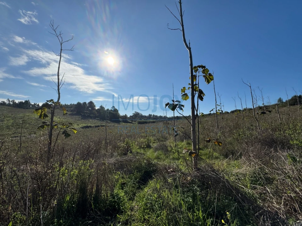 Terreno Agricola ou Rústico para Venda em Abrigada e Cabanas de Torres Foto 11