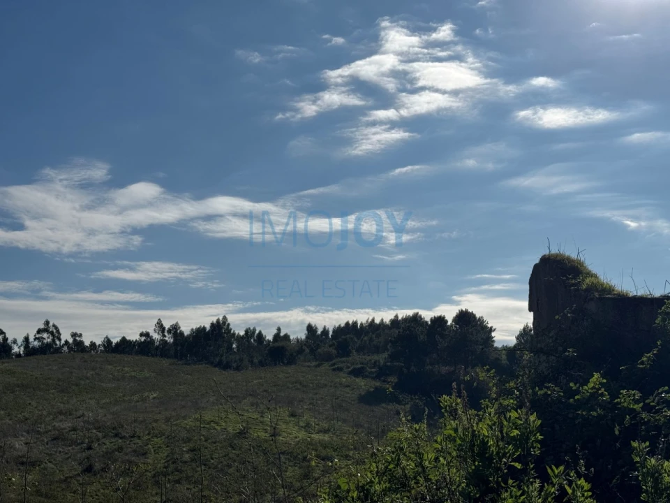 Terreno Agricola ou Rústico para Venda em Abrigada e Cabanas de Torres Foto 12