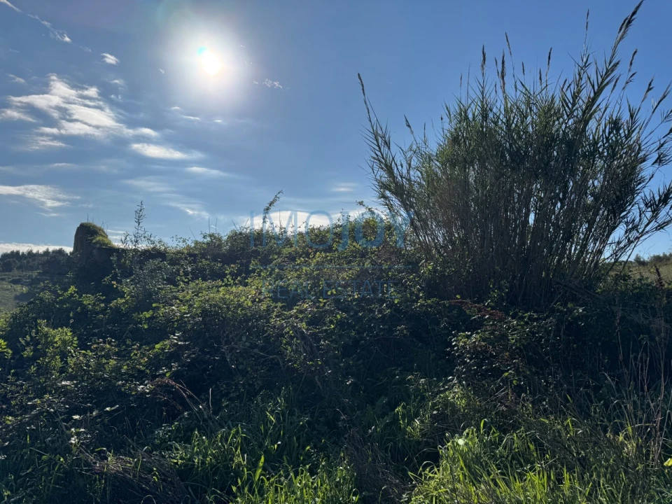 Terreno Agricola ou Rústico para Venda em Abrigada e Cabanas de Torres Foto 13