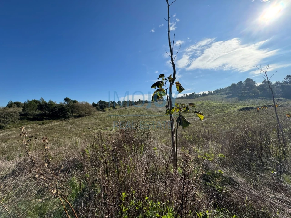 Terreno Agricola ou Rústico para Venda em Abrigada e Cabanas de Torres Foto 15