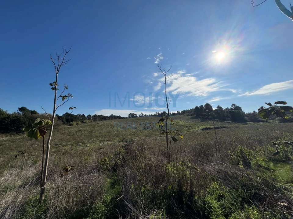 Terreno Agricola ou Rústico para Venda em Abrigada e Cabanas de Torres Foto 18