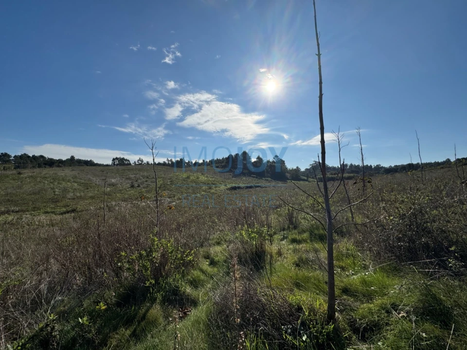 Terreno Agricola ou Rústico para Venda em Abrigada e Cabanas de Torres Foto 19