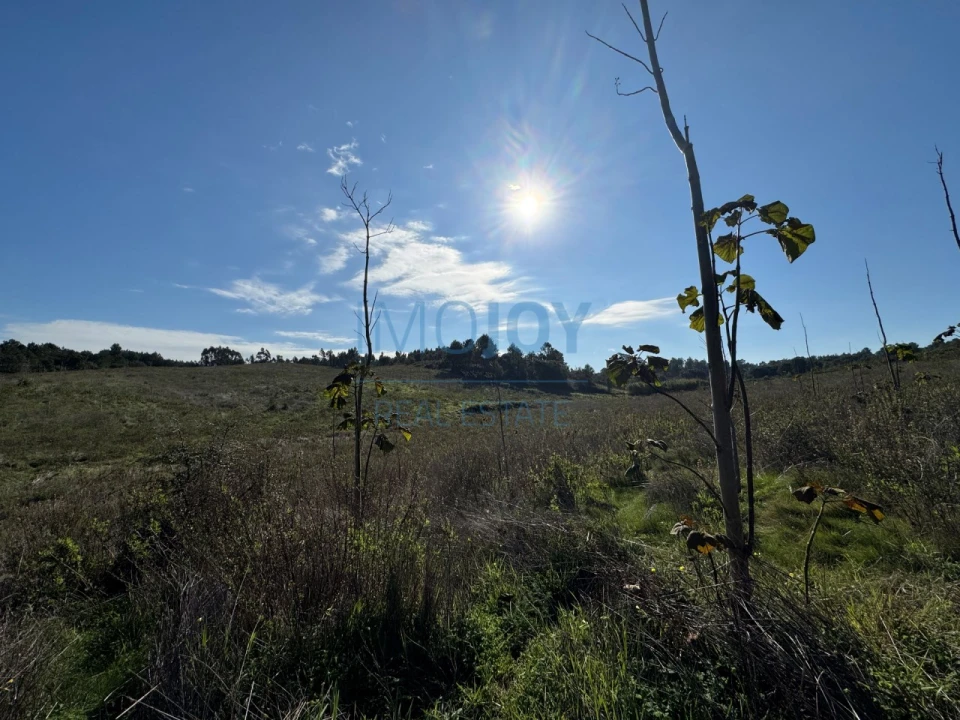 Terreno Agricola ou Rústico para Venda em Abrigada e Cabanas de Torres Foto 21