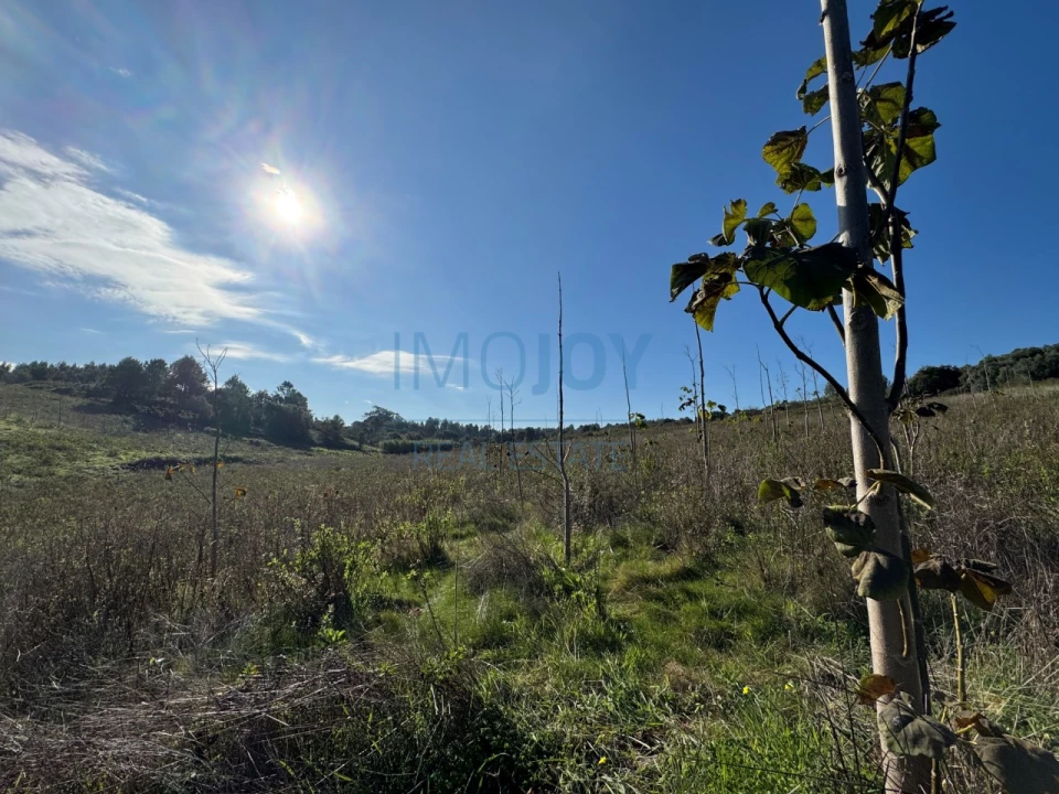 Terreno Agricola ou Rústico para Venda em Abrigada e Cabanas de Torres Foto 23