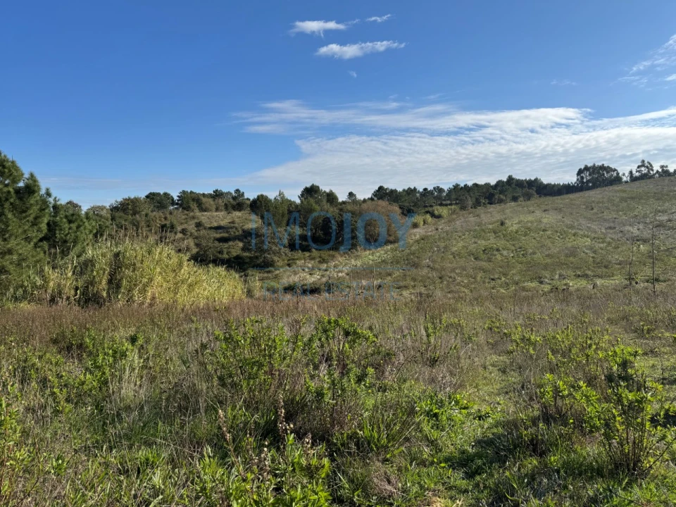 Terreno Agricola ou Rústico para Venda em Abrigada e Cabanas de Torres Foto 24