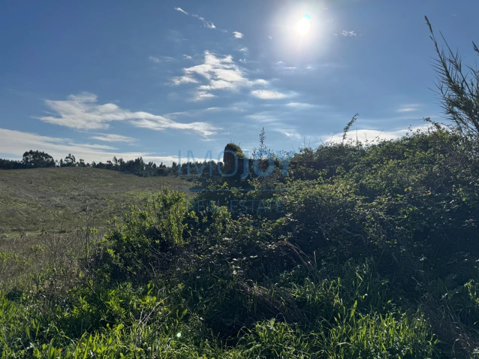 Terreno Agricola ou Rústico para Venda em Abrigada e Cabanas de Torres Foto 25