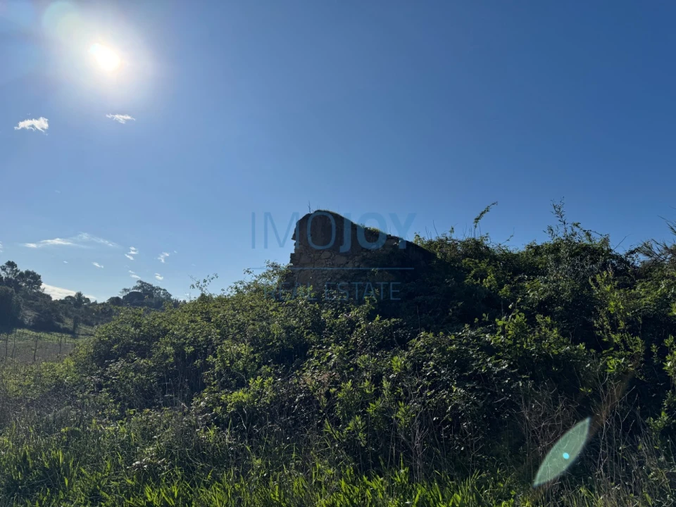 Terreno Agricola ou Rústico para Venda em Abrigada e Cabanas de Torres Foto 26