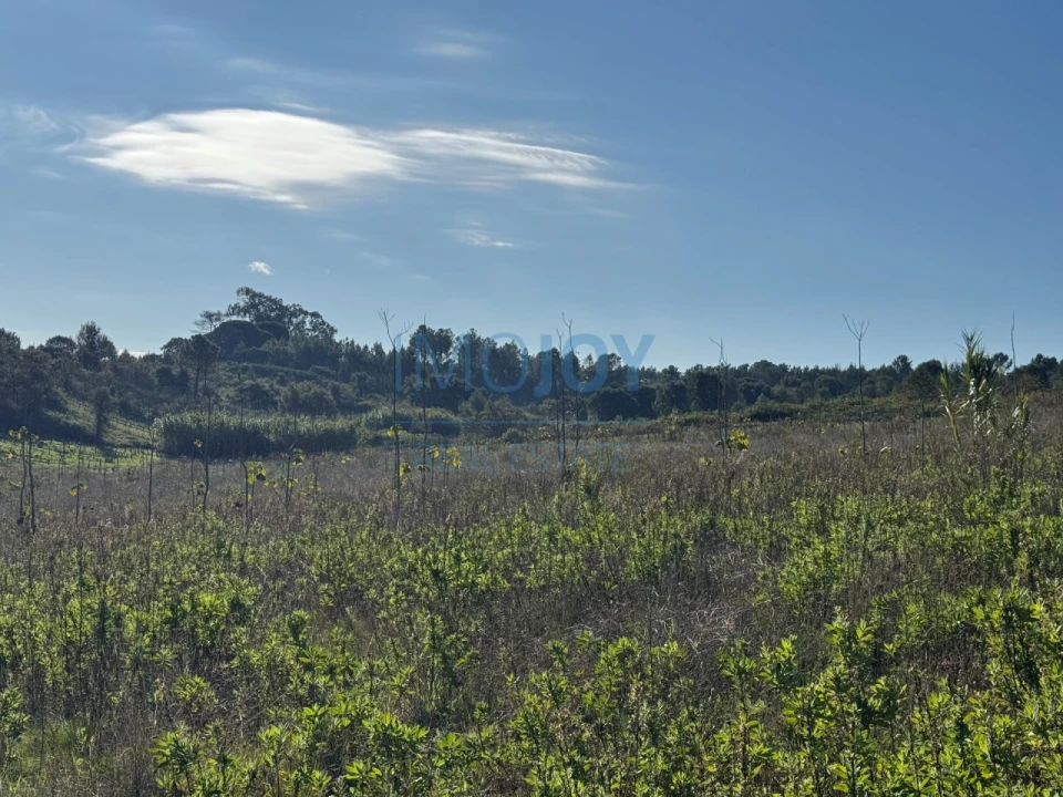 Terreno Agricola ou Rústico para Venda em Abrigada e Cabanas de Torres Foto 27