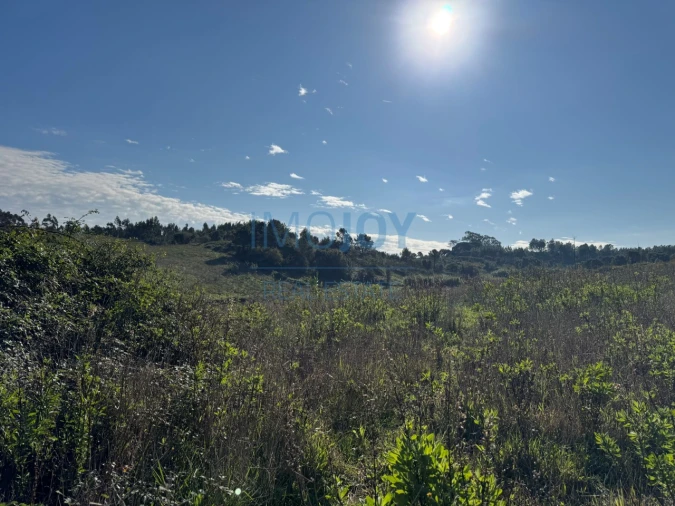 Terreno Agricola ou Rústico para Venda em Abrigada e Cabanas de Torres