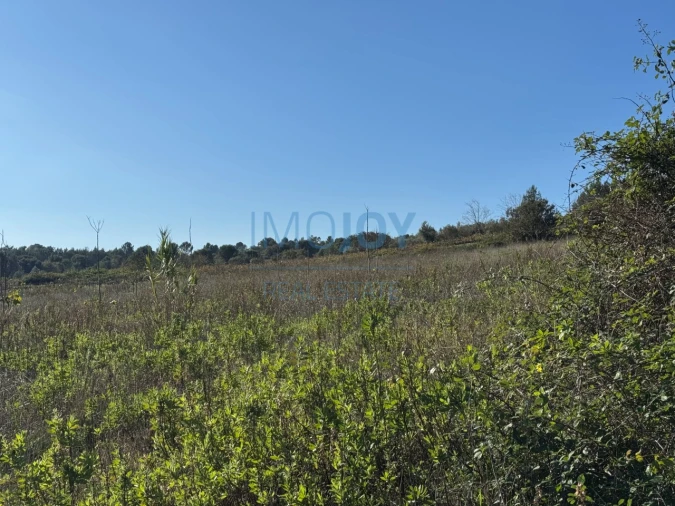 Terreno Agricola ou Rústico para Venda em Abrigada e Cabanas de Torres Foto 5