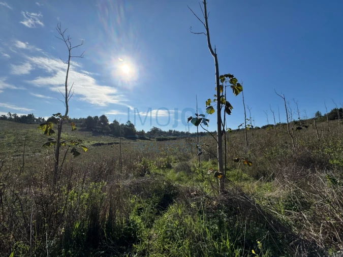 Terreno Agricola ou Rústico para Venda em Abrigada e Cabanas de Torres Foto 11