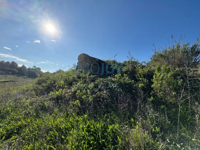 Terreno Agricola ou Rústico para Venda em Abrigada e Cabanas de Torres Foto 14