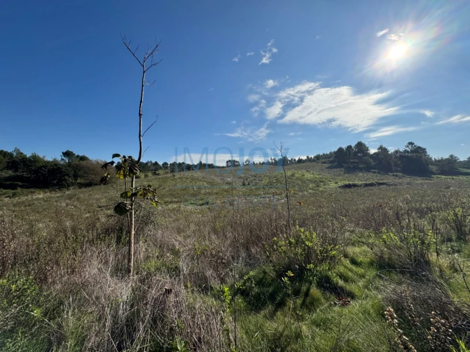 Terreno Agricola ou Rústico para Venda em Abrigada e Cabanas de Torres Foto 16