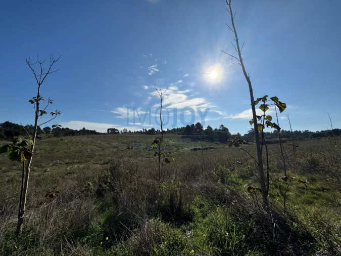 Terreno Agricola ou Rústico para Venda em Abrigada e Cabanas de Torres Foto 17
