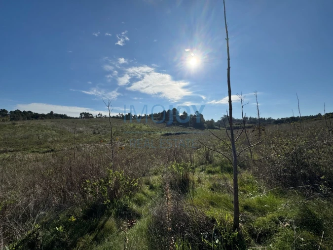Terreno Agricola ou Rústico para Venda em Abrigada e Cabanas de Torres Foto 19